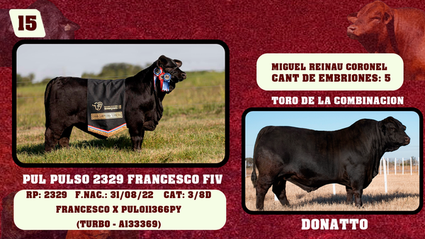 Lote LOTE 15