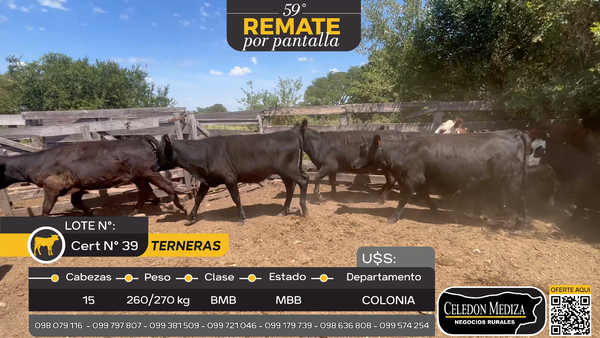 Lote 15 Terneras en Otra Localidad, Colonia
