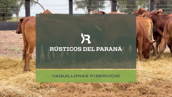 Lote VAQ. P/ SERVICIO GENERALES