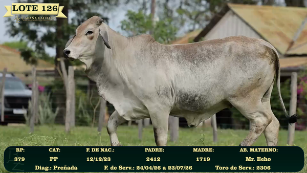 Lote LOTE 126