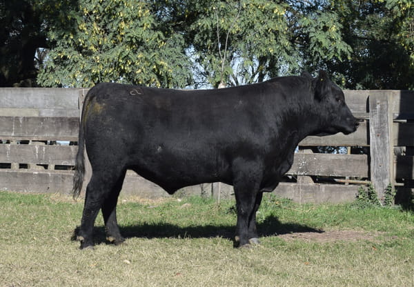 Lote CABAÑA “COEMBOTÁ” de Calderón RP 096