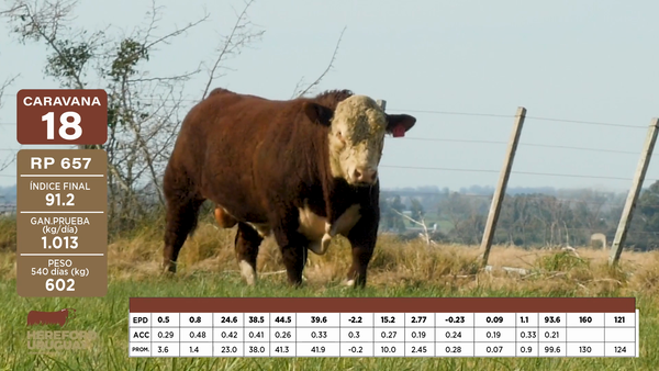 Lote Caravana 18 "Gonzalo Rodríguez Mendaro"