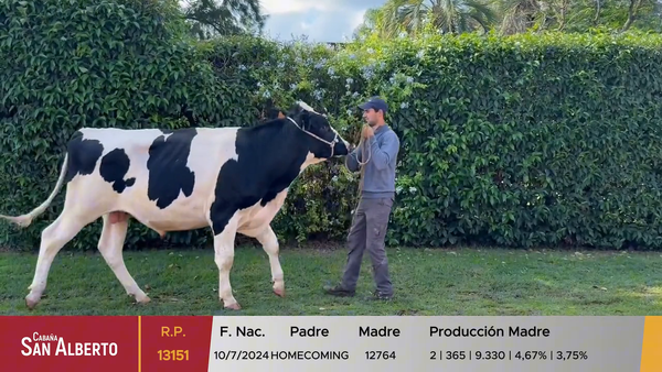 Lote Toros, Canelones