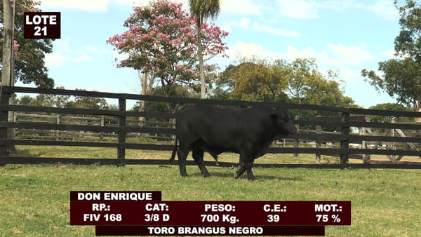 Lote Cabañas de Tradición - Lote 21