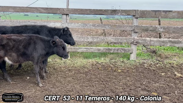 Lote 11 Terneros en El Ensueño, Colonia