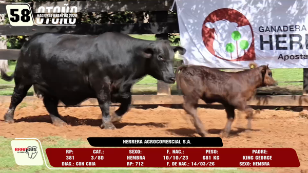 Lote LOTE 58 -DE CAMPO