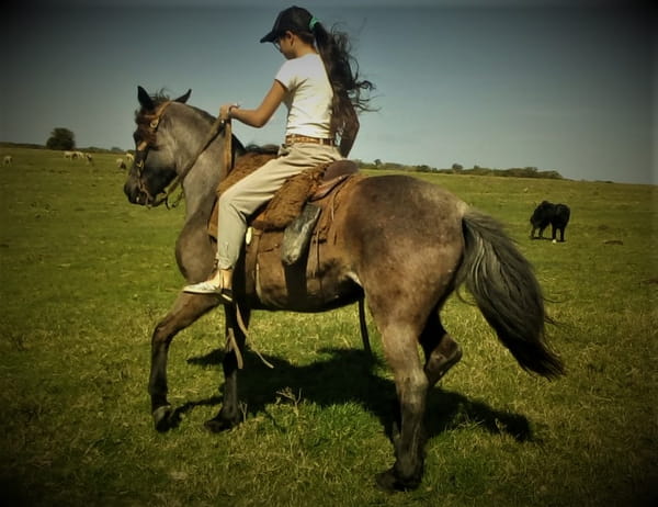 Lote Cabaña "La Picada" - RP 5 - Rebolera