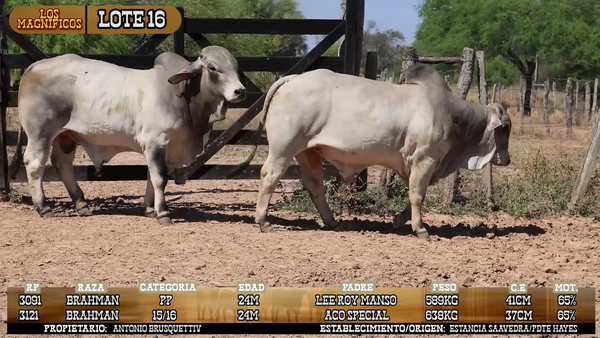 Lote LOTE 16- POR PANTALLA
