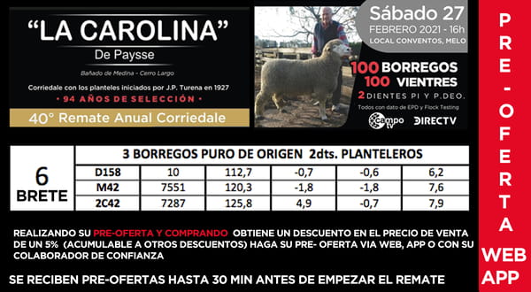 Lote 1 Borregos Planteleros en Cerro Largo, Cerro Largo