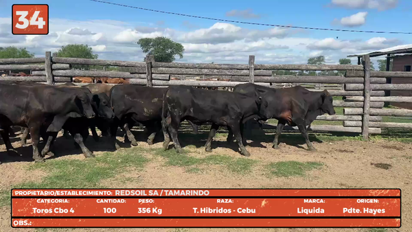 Lote LOTE 34
