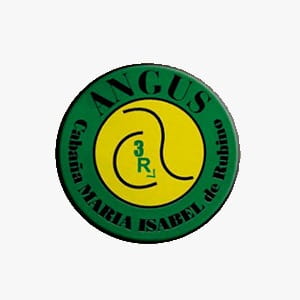 Lote VACA CON CRIA PC ANGUS