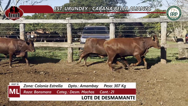 Lote EST. URUNDEY - CABAÑA BELLA ALIANZA