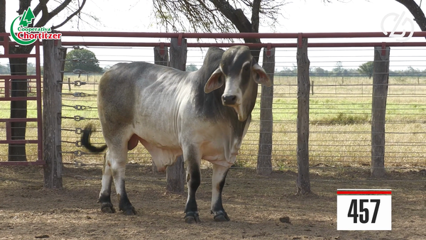 Lote Brahman