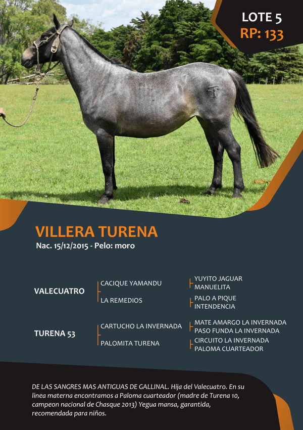 Lote RP 133 - VILLERA TURENA