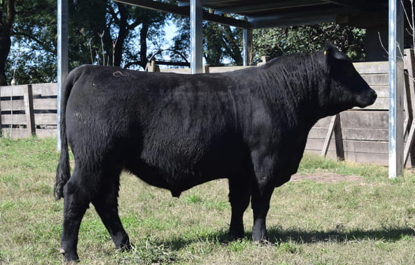 Lote CABAÑA “COEMBOTÁ” de Calderón RP 127