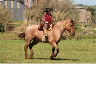 Lote SANTA GLORIA BUENA NENA