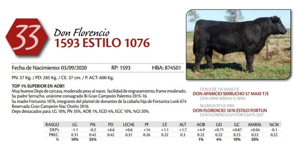 Lote TORO