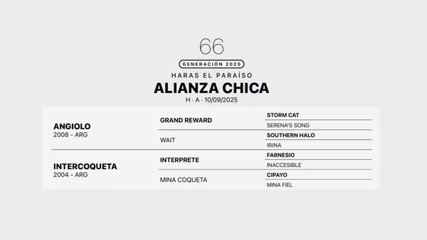 Lote ALIANZA CHICA