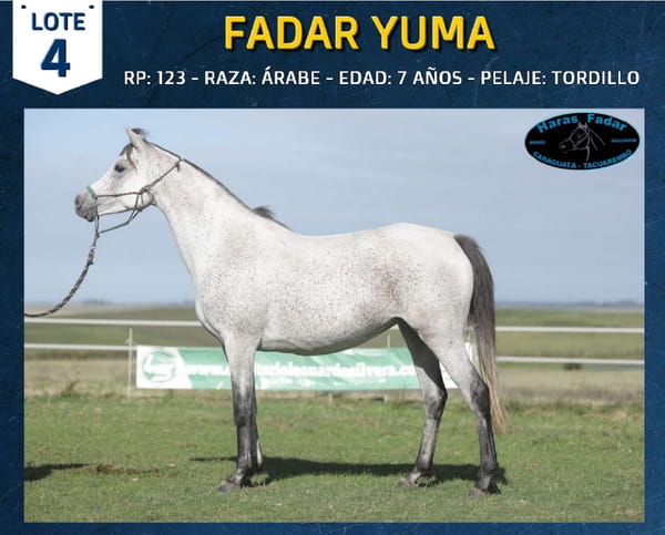 Lote FADAR YUMA