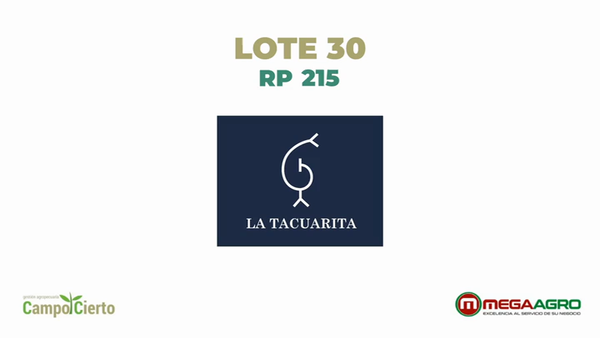 Lote LA TACUARITA