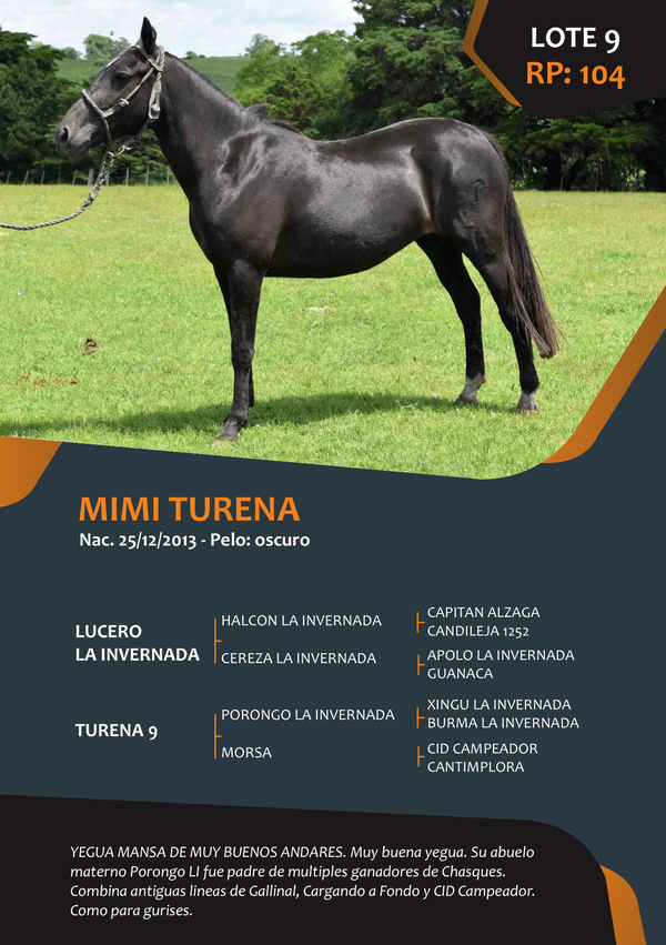 Lote RP 104 -  MIMI TURENA