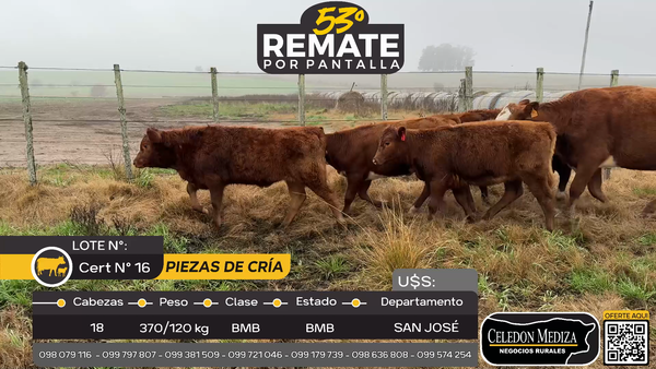 Lote 18 Piezas de cría en Otra Localidad, San José