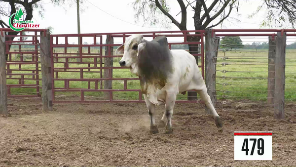 Lote Brahman
