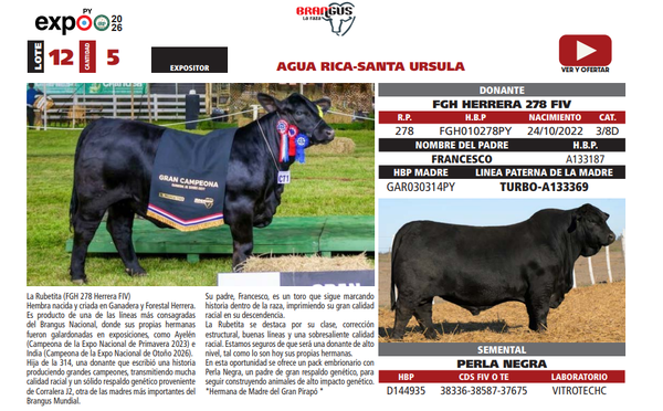 Lote LOTE 12