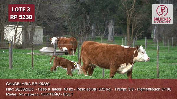Lote Vaq PP Parida