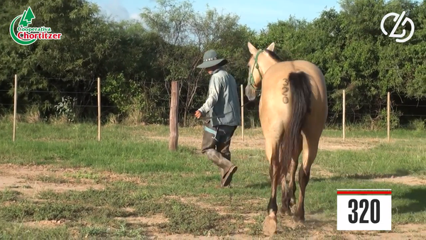 Lote Cuarto de Milla