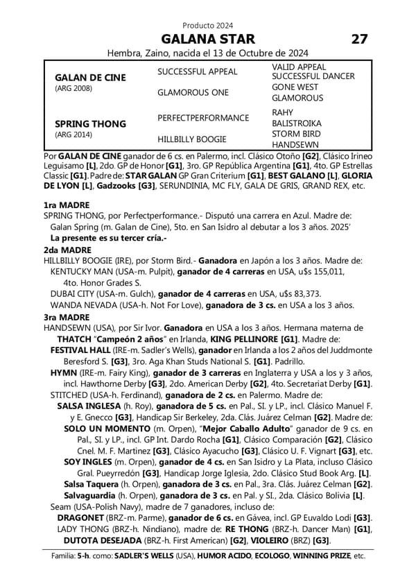 Lote GALANA STAR (GALAN DE CINE -  SPRING THONG)