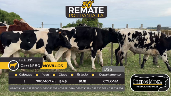 Lote 8 Novillos en Camino Reducto, Colonia