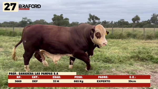 Lote LOTE 27
