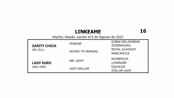 Lote LINKEAME (SAFETY CHECK -  LADY EURO por  MR.LIGHT)