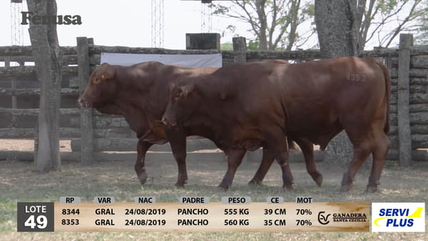 Lote Ganadera Santa Cecilia - Lote 49