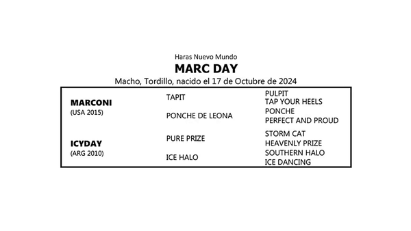 Lote MARC DAY