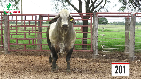 Lote Brahman