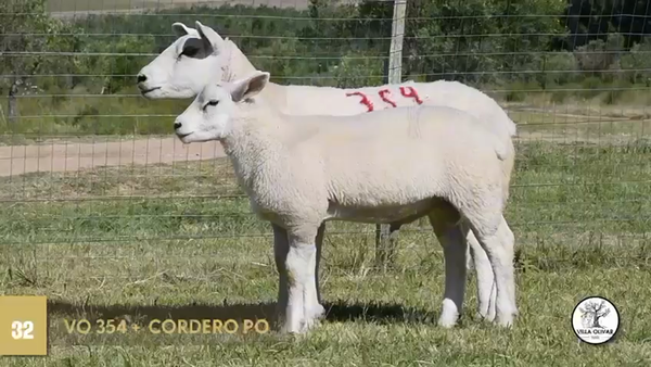 Lote 2 Borregas, Canelones