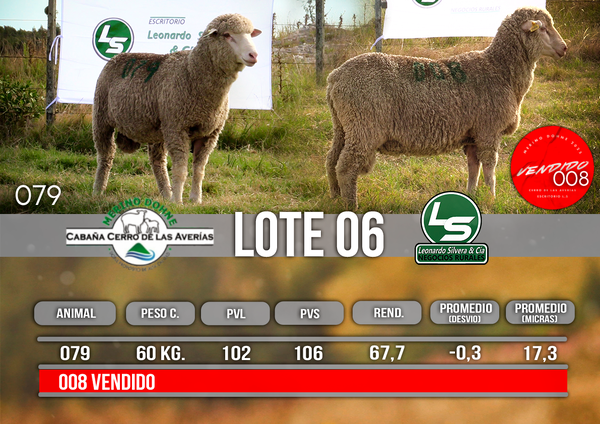 Lote LOTE 6