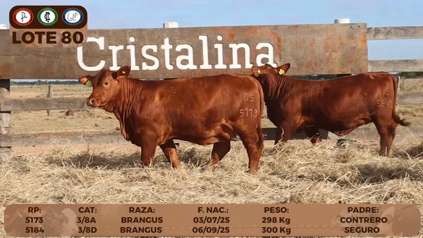 Lote LOTE 80