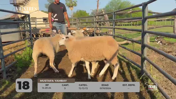 Lote LOTE 18