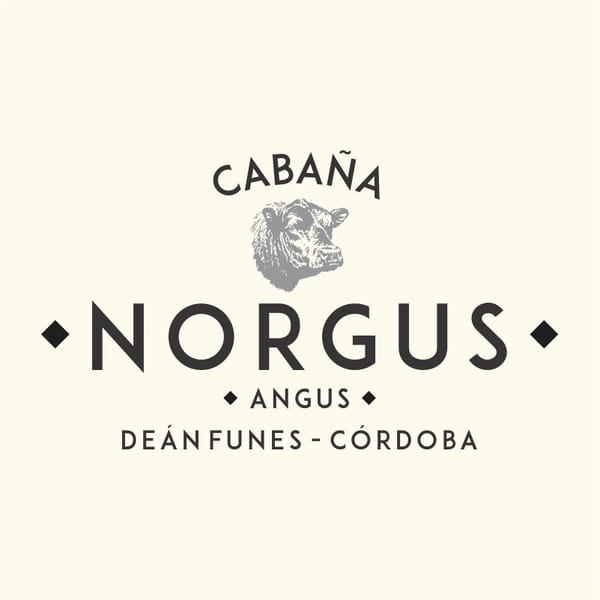 Lote TOROS PUROS CONTROLADOS ANGUS