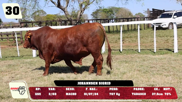 Lote LOTE 30 - DE CAMPO