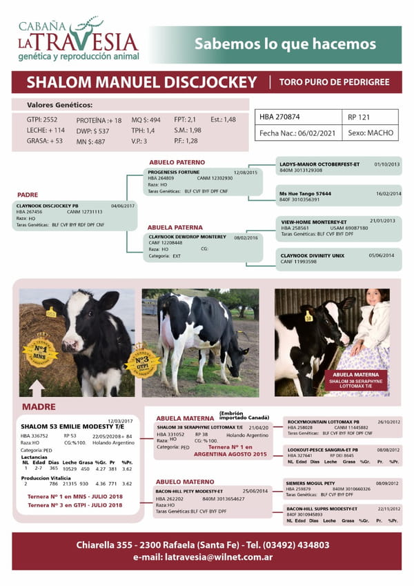 Lote Terneras - La Travesia De German Fux