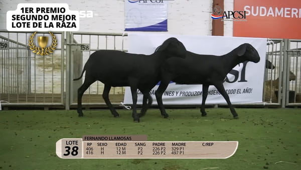 Lote Nacional Santa Inés Campo - Lote 38