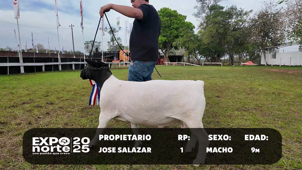 Lote RP 1
