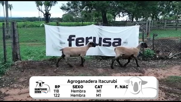 Lote LOTE 15 A CAMPO - RP 118- RP 122