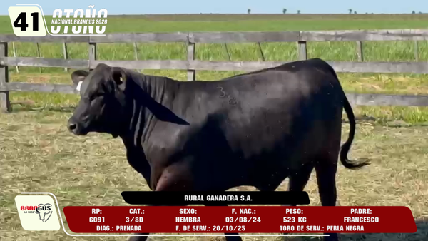 Lote LOTE 41 -DE CAMPO