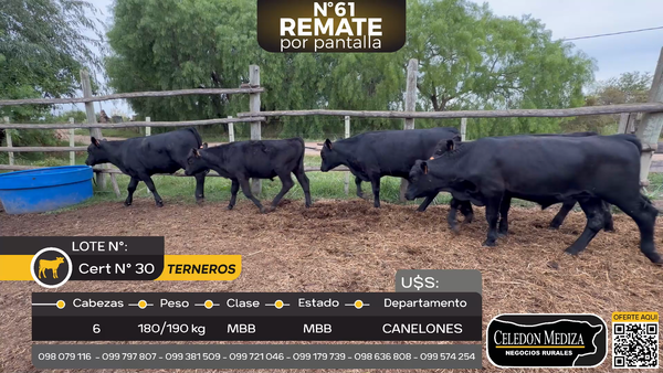 Lote 6 Terneros en a 4 km de Los Cerrillos, Canelones