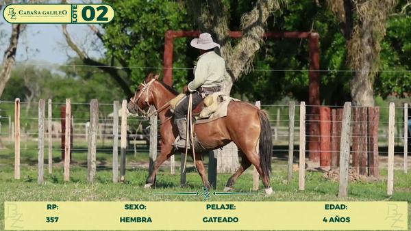 Lote LOTE 2